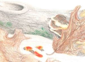 Scarlet cups, Ginger