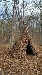 Leaf tipi
