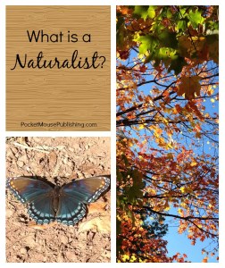 What is a Naturalist?