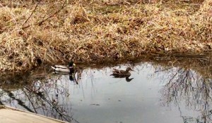 IMG_20150318_143543973_HDR