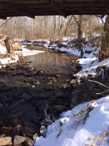 When a Nature Walk Goes Wrong - Creek