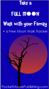 Full Moon Walk April 2015 Lunar Eclipse/Blood Moon
