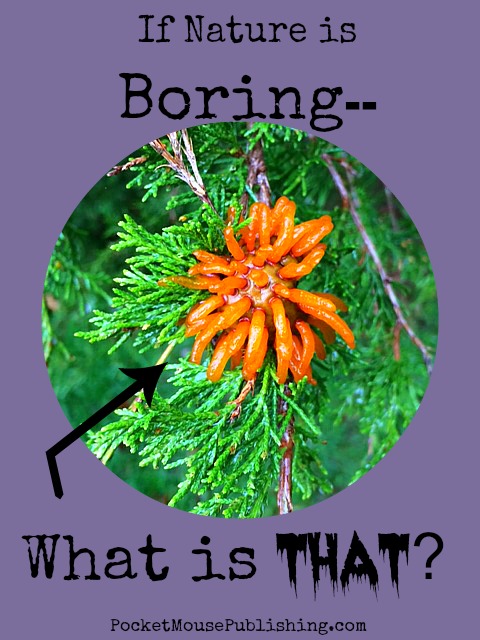 Another boring nature walk? I think not.