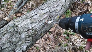 IMG_20150424_072600281