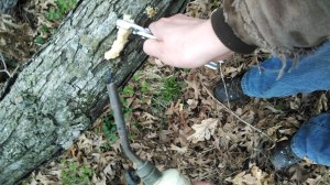 IMG_20150424_074145574