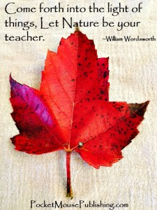 Let Nature be your teacher -PocketMousePublishing.com