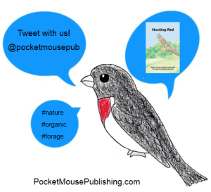 Connect with Pocket Mouse Publishing on Twitter @pocketmousepub