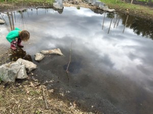 Checking out tadpoles on the first morning in May