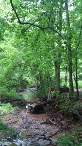 Playing in the forest -- children's natural habitat