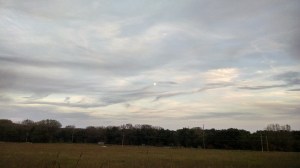 IMG_20150925_184848508_HDR