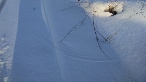 IMG_20151121_145442583