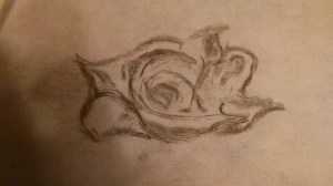 IMG_20151126_183721392