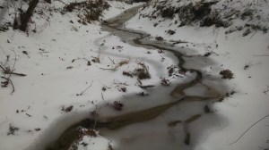 Bena Brook starts to freeze over.