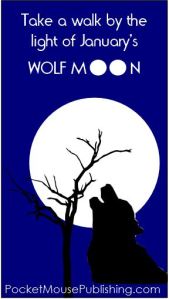 Take a walk by the light of the full Wolf Moon this January!