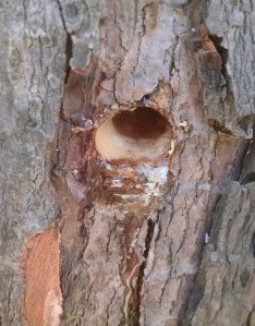 IMG_20160219_093638628