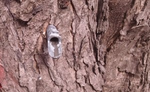 IMG_20160219_093808243