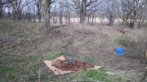 IMG_20160403_172437235