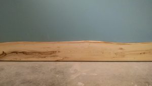 Hackberry is also not typically a choice interior wood, but its pale color creates a unique offset to the blue wall.