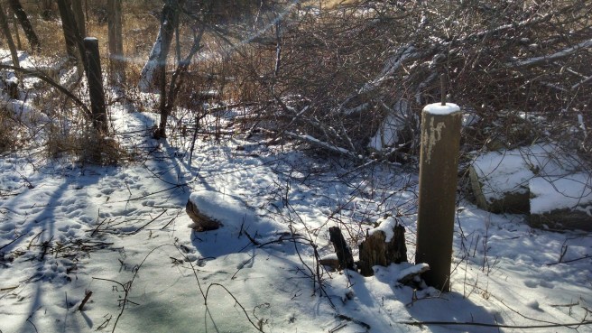 IMG_20180117_132737167_HDR