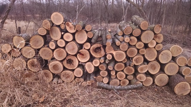 IMG_20180124_112025464