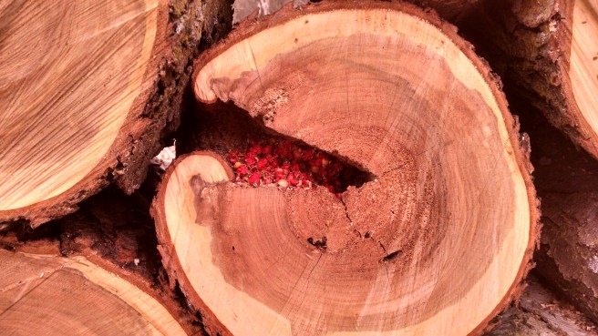 IMG_20180124_112046272_HDR